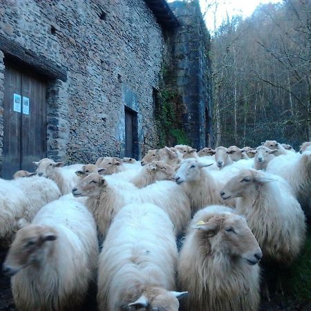 Casa Rural Orortegi Aia Kültér fotó
