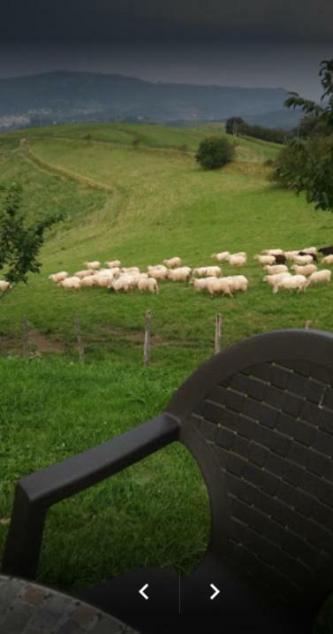 Casa Rural Orortegi Aia Kültér fotó