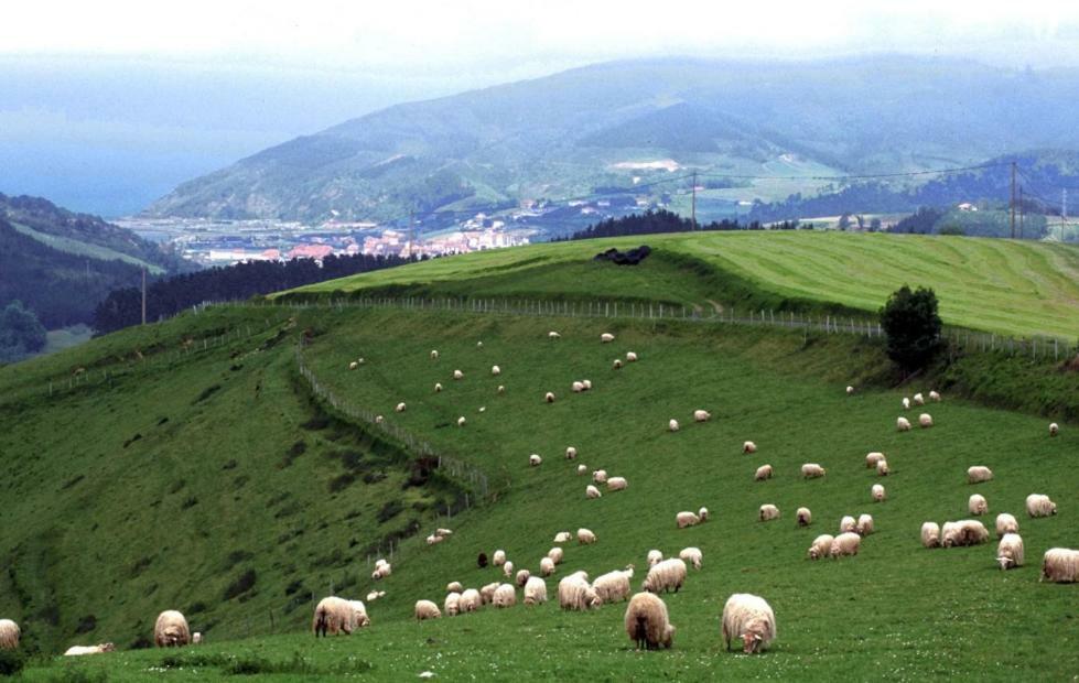 Casa Rural Orortegi Aia Kültér fotó